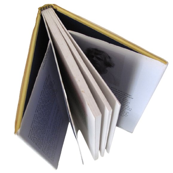 CONTEMPORARY ART | Playing to the Gallery by Grayson Perry HARDCOVER 128 pages - Picture 9 of 12